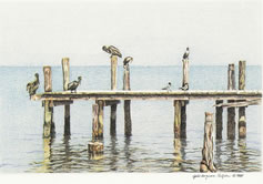 Pelicans dockside in Florida